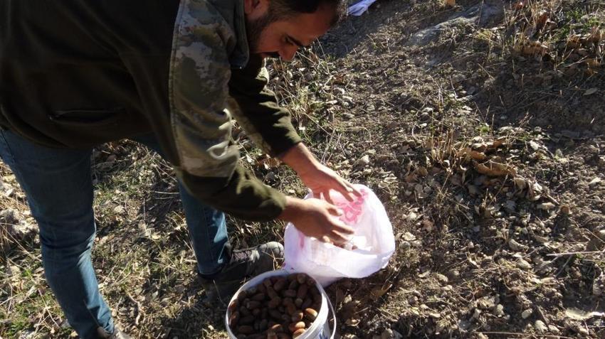 Doğuda kış mevsiminin vazgeçilmezi! Hem lezzet hem de şifa kaynağı