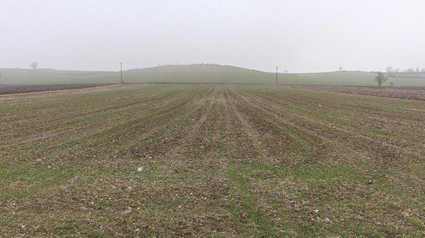 Trakya'da yaşanan kuraklık çiftçileri zor durumda bırakıyor! Su krizine çözüm bulacak proje hayata geçiyor