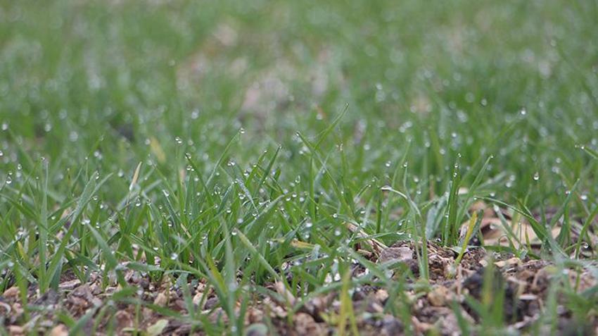Trakya'da yaşanan kuraklık çiftçileri zor durumda bırakıyor! Su krizine çözüm bulacak proje hayata geçiyor