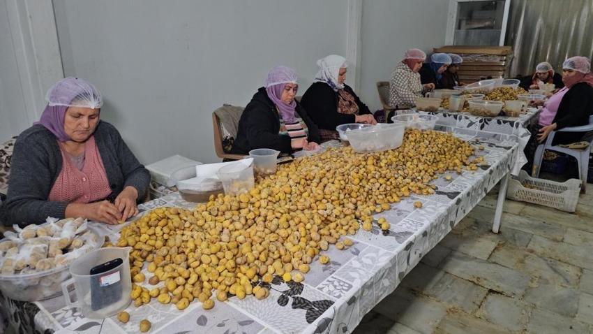 Japonlar bir kere tattı bağımlısı oldu! Aydın'ın kadını erkeği çalışıp siparişlere yetişmeye çalışıyor
