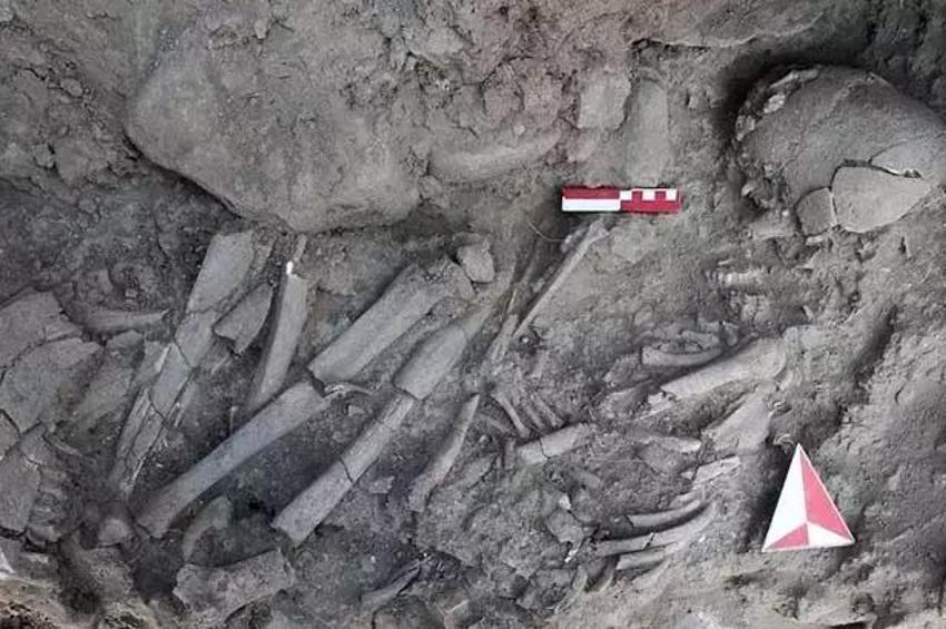 Kafataslı oda milyonlarca yıllık sırları barındırıyor! Türkiye'de 2024'ün en önemli arkeolojik buluşları ortaya çıktı: 12 bin yıllık şaman, 11 bin yıllık dudak piercingi ve daha fazlası