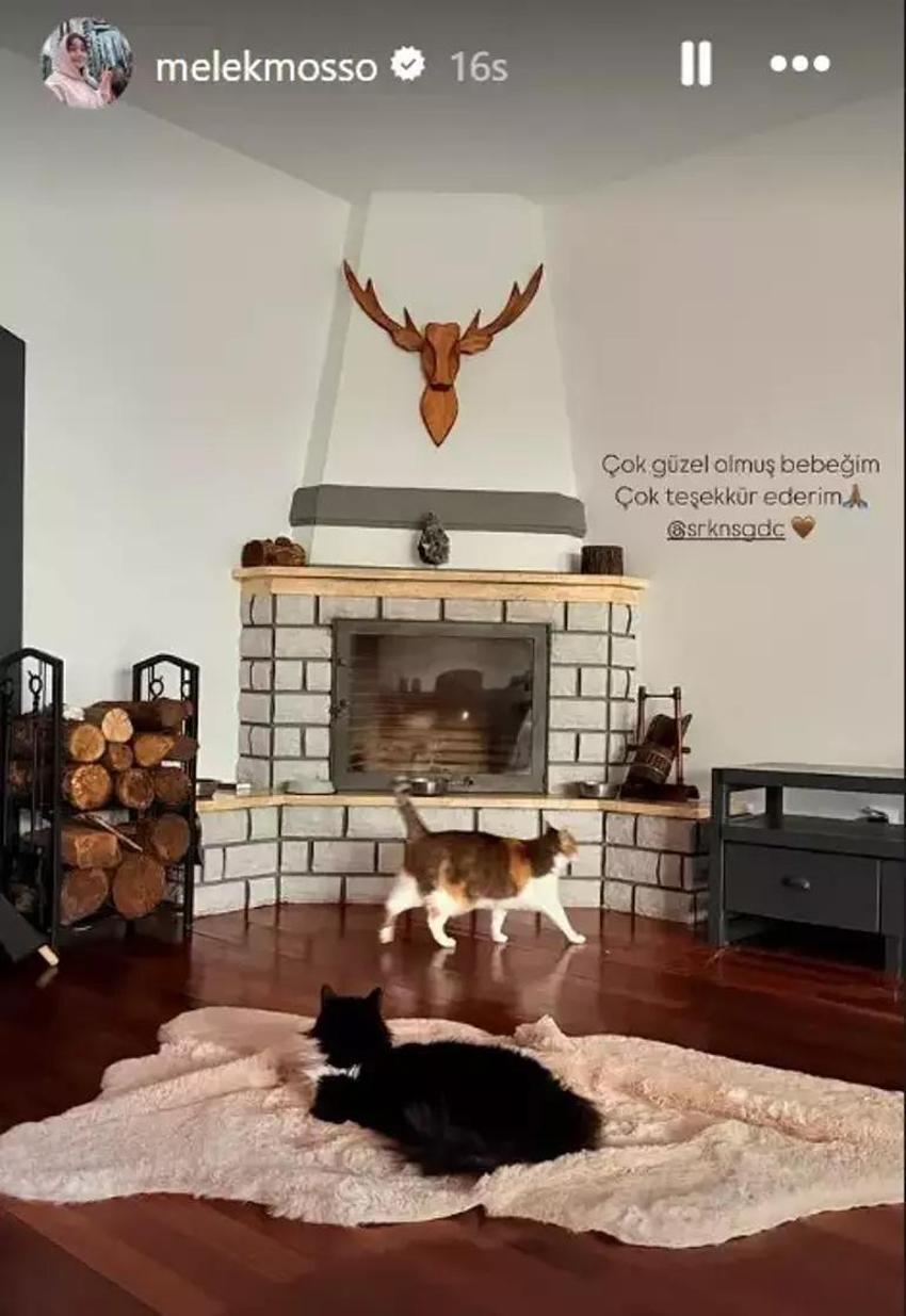 Melek Mosso - Serkan Sağdıç çifti boşanıyor mu? Ünlü şarkıcı ilk kez konuştu 