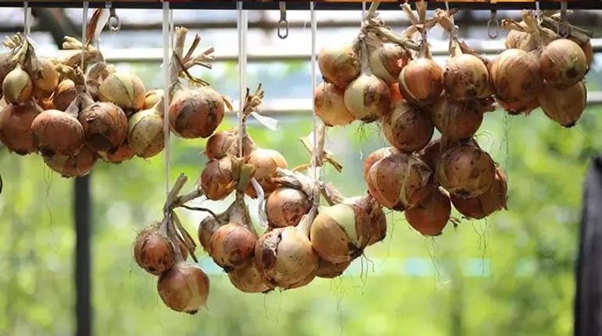 Noel gelenekleri: Ayı kostümü, kafatasıyla dolaşma... 31 Aralık ritüelleri şaşırtıyor
