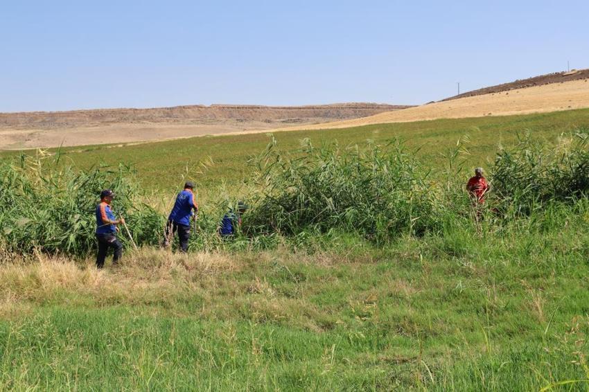 Narin Güran cinayeti davasında savcı 'tüm sanıklar suç ortağı' dedi, duruşma salonu karıştı