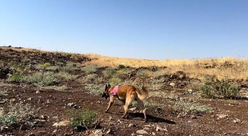 Narin Güran cinayeti davasında savcı 'tüm sanıklar suç ortağı' dedi, duruşma salonu karıştı