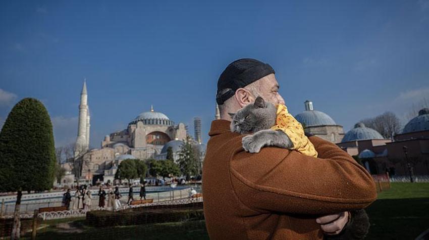 Kedi 'reis' sahibinin omzunda İstanbul'u keşfediyor