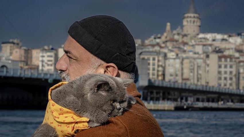 Kedi 'reis' sahibinin omzunda İstanbul'u keşfediyor
