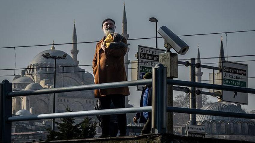Kedi 'reis' sahibinin omzunda İstanbul'u keşfediyor