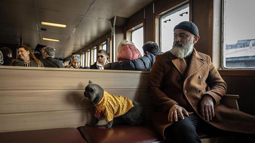 Kedi 'reis' sahibinin omzunda İstanbul'u keşfediyor