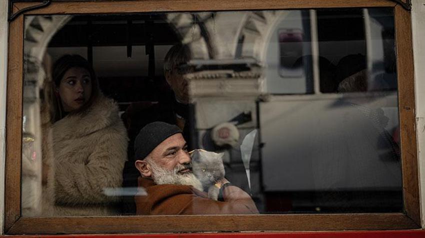 Kedi 'reis' sahibinin omzunda İstanbul'u keşfediyor