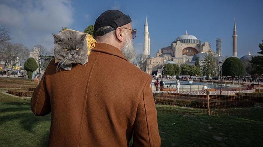 Kedi 'reis' sahibinin omzunda İstanbul'u keşfediyor