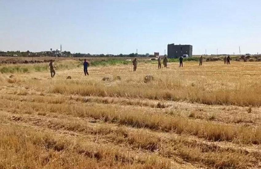 Narin Güran cinayeti davasında savcı 'tüm sanıklar suç ortağı' dedi, duruşma salonu karıştı