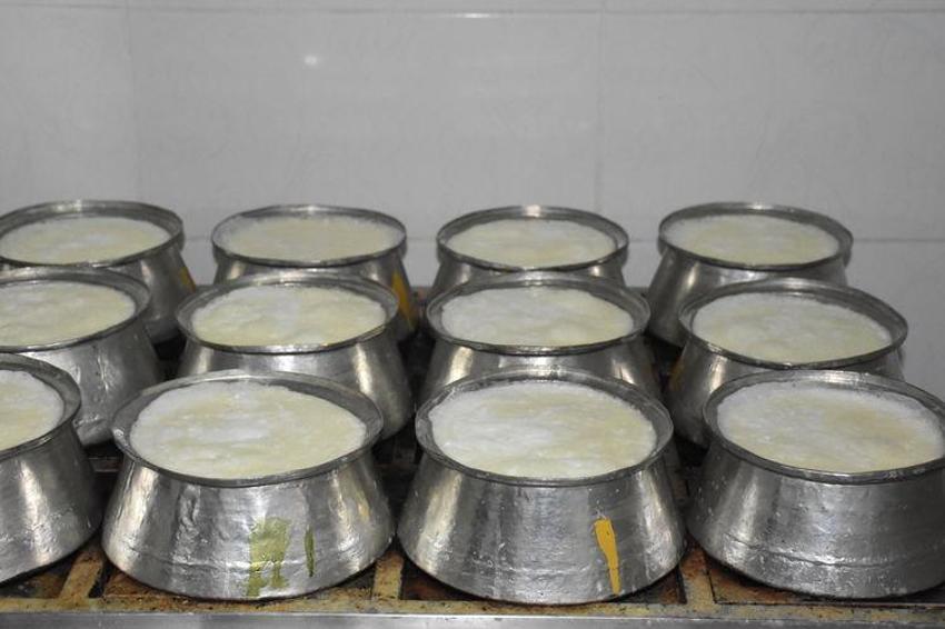 Güney Koreliler bir kere tattı, Türkiye'den ihracat başladı! Afyon lezzetinin bağımlısı oldular