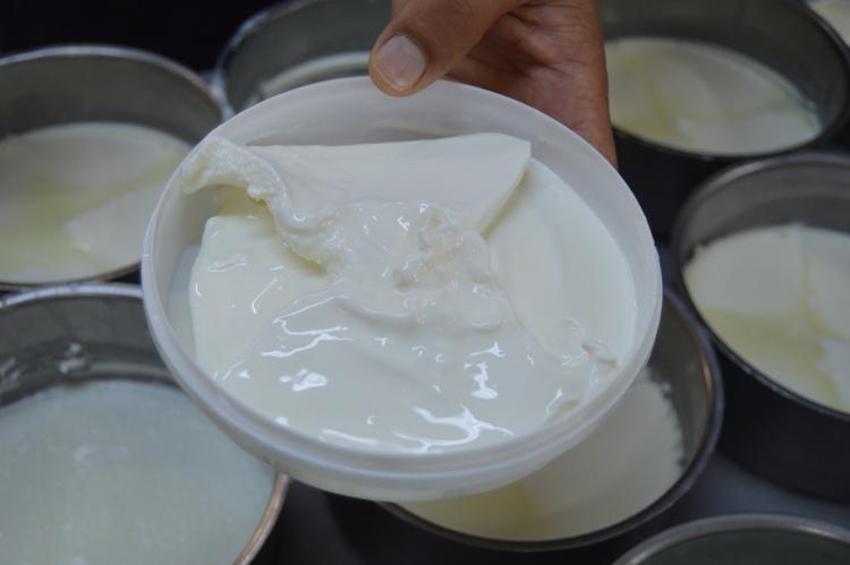 Güney Koreliler bir kere tattı, Türkiye'den ihracat başladı! Afyon lezzetinin bağımlısı oldular
