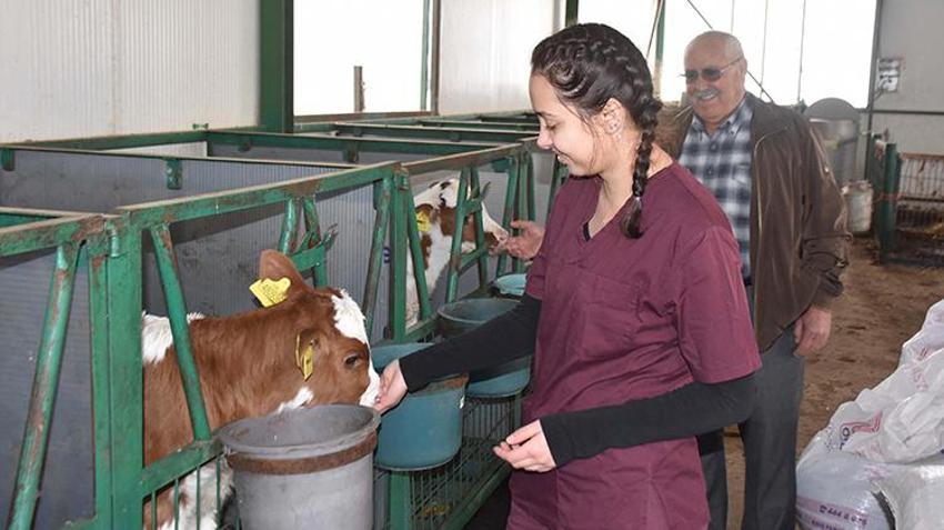 İzmir'de çiftliğini torununa devretmeye hazırlanan dede, şimdiden eğitim veriyor