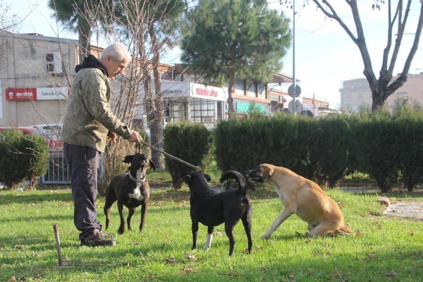 Ordu'da duygulandıran olay: Minibüs çarpan sokak köpeğini demirden yürüteçle hayata döndürdü