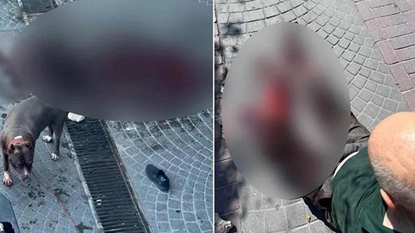 Pitbull saldırısında bacağını kaybetmişti! Savcı köpeğin sahibine ve bakıcısına hapis cezası istedi