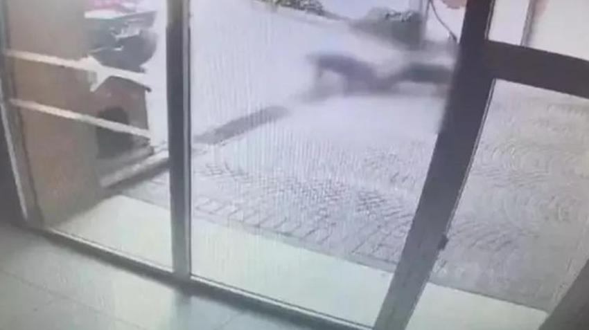 Pitbull saldırısında bacağını kaybetmişti! Savcı köpeğin sahibine ve bakıcısına hapis cezası istedi