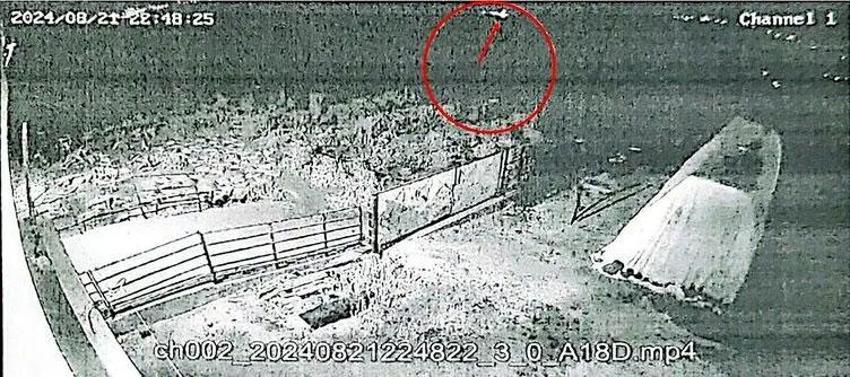 Narin Güran cinayeti davasında verilen cezalar yeterli miydi? Hukuk camiasından çarpıcı açıklamalar