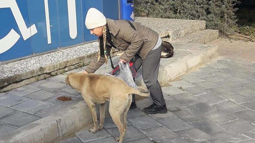 İzmir'de bir kadın ikinci el eşya satarak sokak hayvanlarına mama alıyor