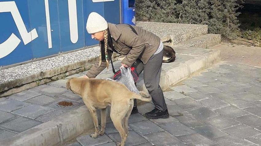 18 yıl önce kızının eve getirdiği yavru kedi hayatını değiştirdi: Sokaktaki canlar için ikinci el eşya satıyor