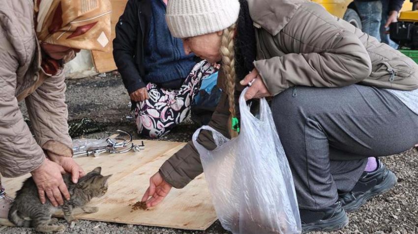 18 yıl önce kızının eve getirdiği yavru kedi hayatını değiştirdi: Sokaktaki canlar için ikinci el eşya satıyor