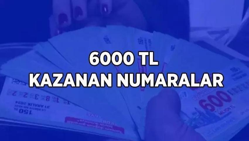 Milli Piyango'da büyük ikramiye sahiplerini buldu! Büyük ikramiye hangi bilete çıktı? İşte Milli Piyango çeyrek, yarım, tam bilet sorgulama ekranı