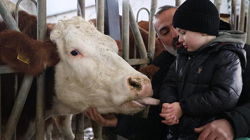 Hibe desteği ile Almanya'dan köyüne dönüp çiftlik kurdu!  432 ton üretim yapıyor 