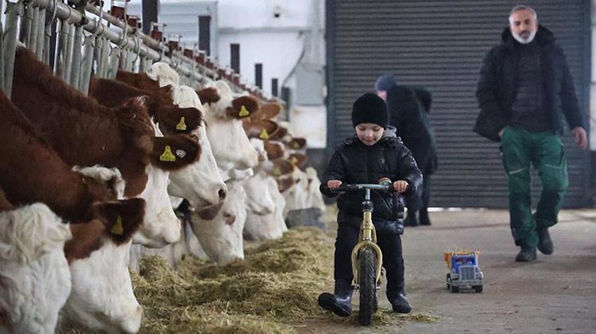 Hibe desteği ile Almanya'dan köyüne dönüp çiftlik kurdu!  432 ton üretim yapıyor 