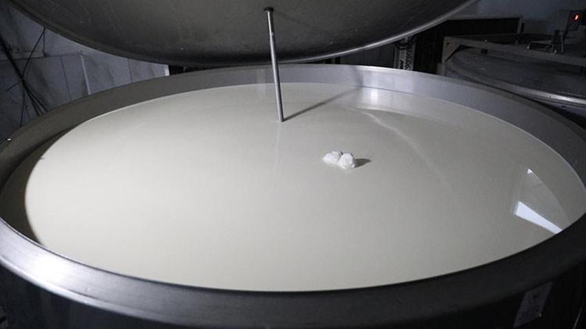 Hibe desteği ile Almanya'dan köyüne dönüp çiftlik kurdu!  432 ton üretim yapıyor 