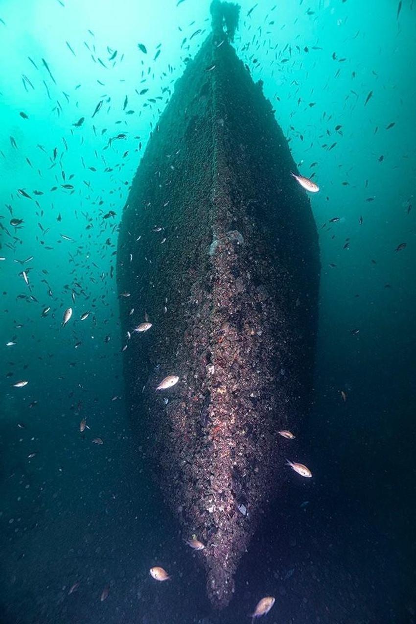 Çanakkale Savaşları'ndan kalma batıklara 1 yılda 6 bin dalgıç tarihe tanıklık etti