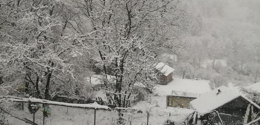 Meteoroloji son hava durumu raporu ile illeri sağanak yağış, buzlanma, sis, don ve çığ tehlikesine karşı uyardı