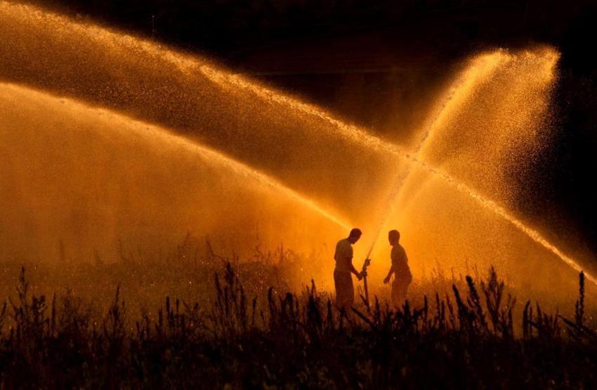 Hastane koridorları sanat galerisine döndü: Amatör olarak başladığı fotoğrafçılıkta uluslararası ödüllü sanatçı oldu