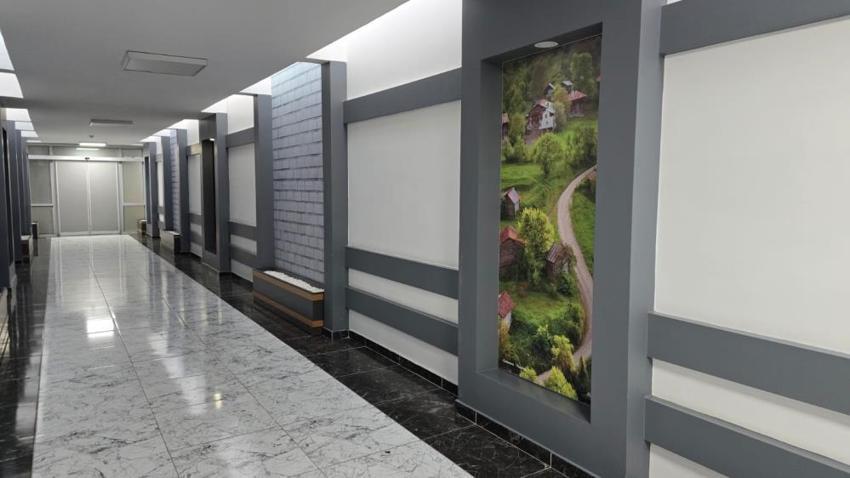 Hastane koridorları sanat galerisine döndü: Amatör olarak başladığı fotoğrafçılıkta uluslararası ödüllü sanatçı oldu