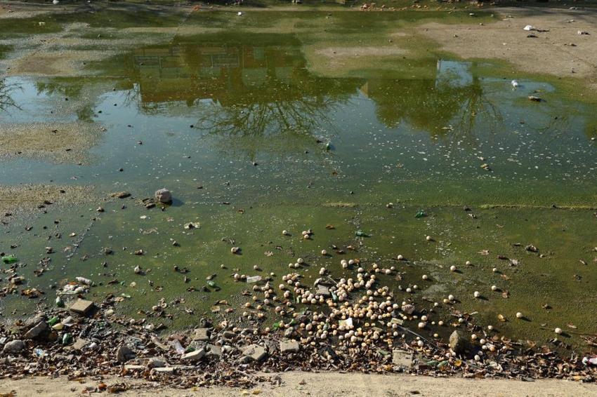 Adana'nın Venedik'i sayılıyordu: Sulama kanalları mikrop saçıyor! 