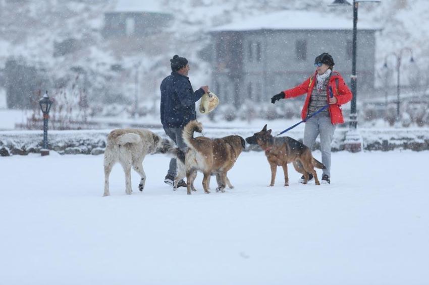 Lapa lapa kar yağışları yurdu etkisi altına alacak! Uzman isim İstanbul için tarih verdi: Yoğun kar yağışı etkili olacak