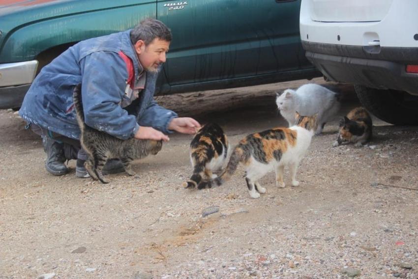 Sokak hayvanlarını bir kere besledi, o gün bu gündür beslemeye devam ediyor