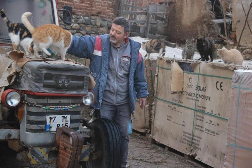 Sokak hayvanlarını bir kere besledi, o gün bu gündür beslemeye devam ediyor