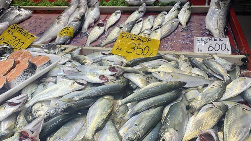 Deniz suyu soğumadı Marmara'da beklenen lüfer akını gerçekleşmedi