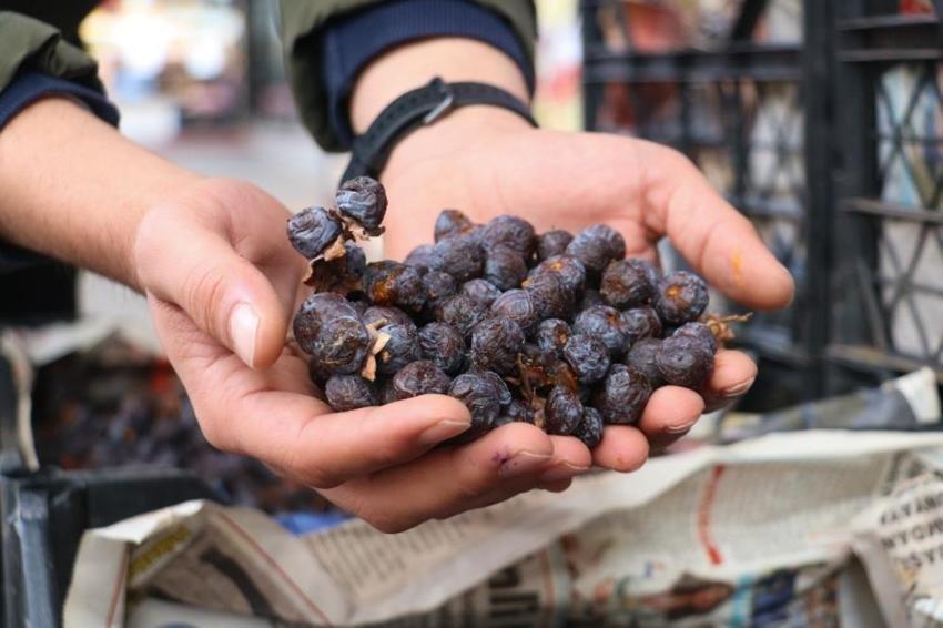 Olgunlaşınca değil çürüyünce yeniyor! Faydaları saymakla bitmiyor: İki yılda bir kendiliğinden yetişiyor