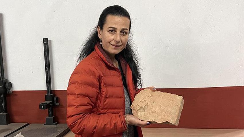 Muğla'da Herakleia Antik Kenti'ndeki kazılarda eserlerin üzerinde pati izlerine rastlandı
