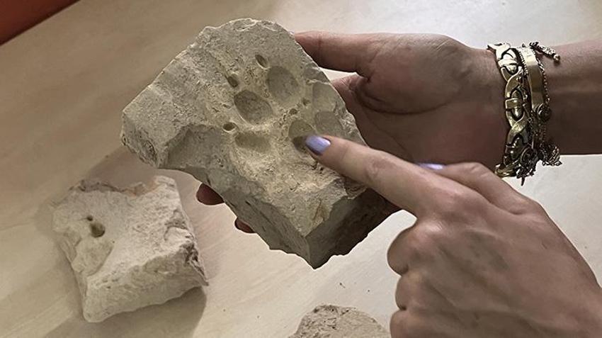 Muğla'da Herakleia Antik Kenti'ndeki kazılarda eserlerin üzerinde pati izlerine rastlandı