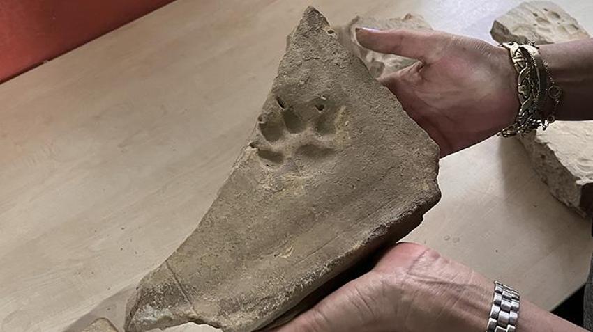 Muğla'da Herakleia Antik Kenti'ndeki kazılarda eserlerin üzerinde pati izlerine rastlandı