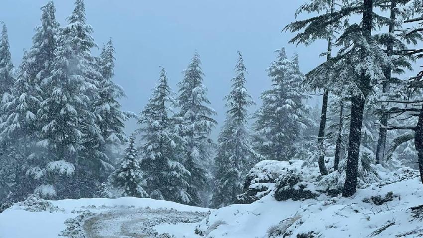 Adanalı ünlü oyuncu açıkladı! Herkes oraya akın ediyor