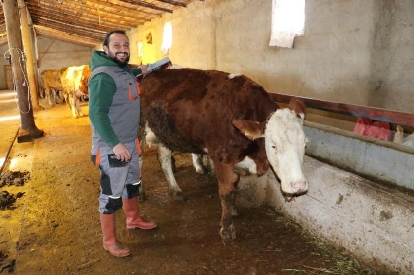 Babası evlendirmek için para biriktirdi! O 'Öküz alırız o parayla' diyerek hayvancılığa başladı

