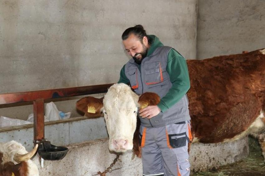 Babası evlendirmek için para biriktirdi! O 'Öküz alırız o parayla' diyerek hayvancılığa başladı
