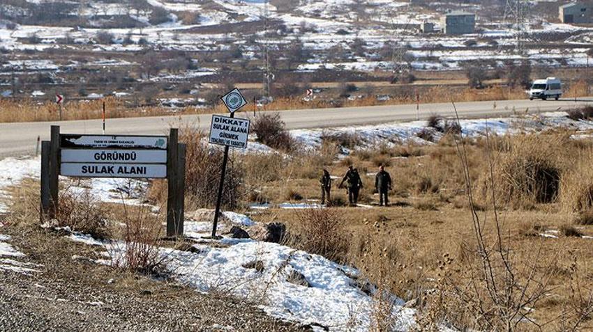 Tam 99 kuş türüne ev sahipliği yapıyor! Van Gölü Havzası'ndan göç etmeyen kuşlara koruma