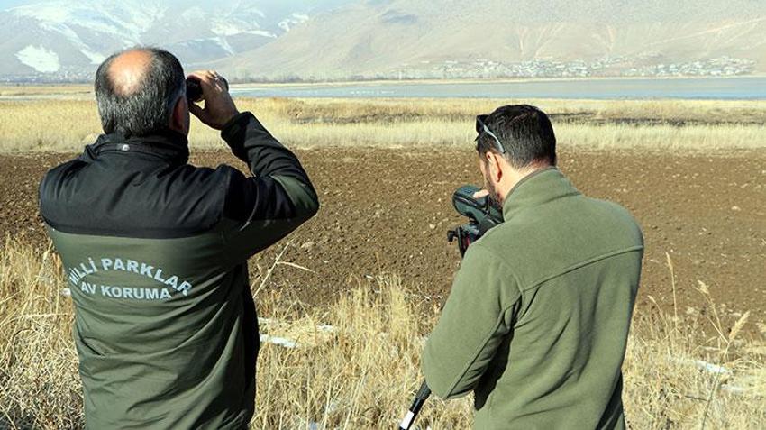 Tam 99 kuş türüne ev sahipliği yapıyor! Van Gölü Havzası'ndan göç etmeyen kuşlara koruma