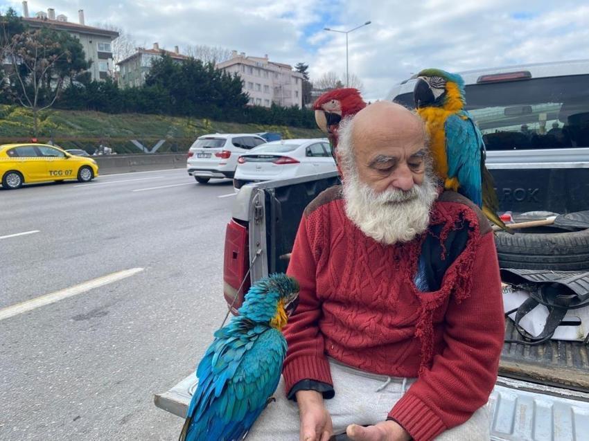 İstanbul'un "Papağanlı Amcası" görenlerin ilgi odağı oluyor