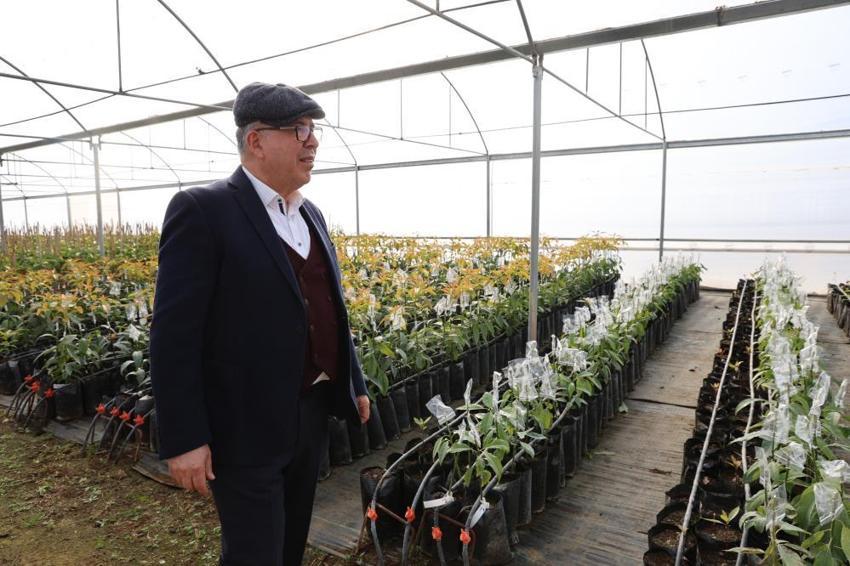 Hukukçu baba ve doktor oğlu tarlada buluştu: 1 yılda 30 ton avokado üretimi yapıyorlar